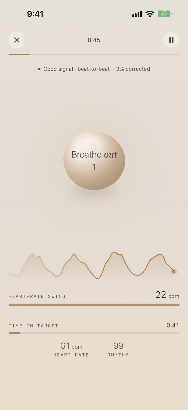A session in Herz: the breathing stone in the middle of the screen, and beneath it a live heart-rate trace rising and falling with the breath, with the heart-rate swing, time in target, heart rate and Rhythm.