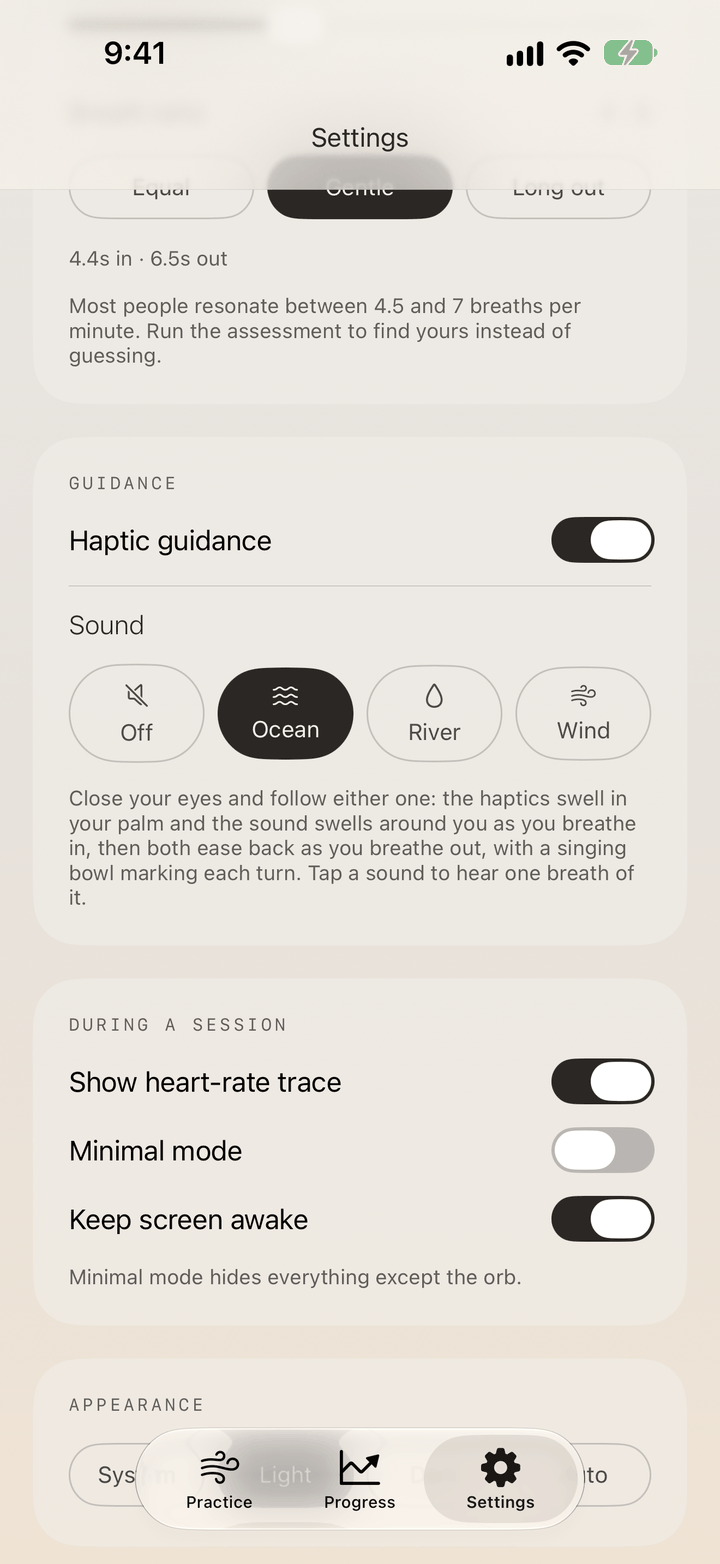 Guidance in Settings: haptic guidance switched on, and the sound set to Ocean, with River, Wind and Off beside it.